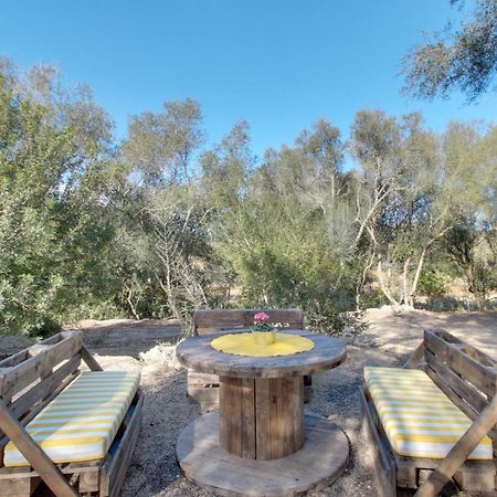 Finca S'Erissal De Costitx Экстерьер фото